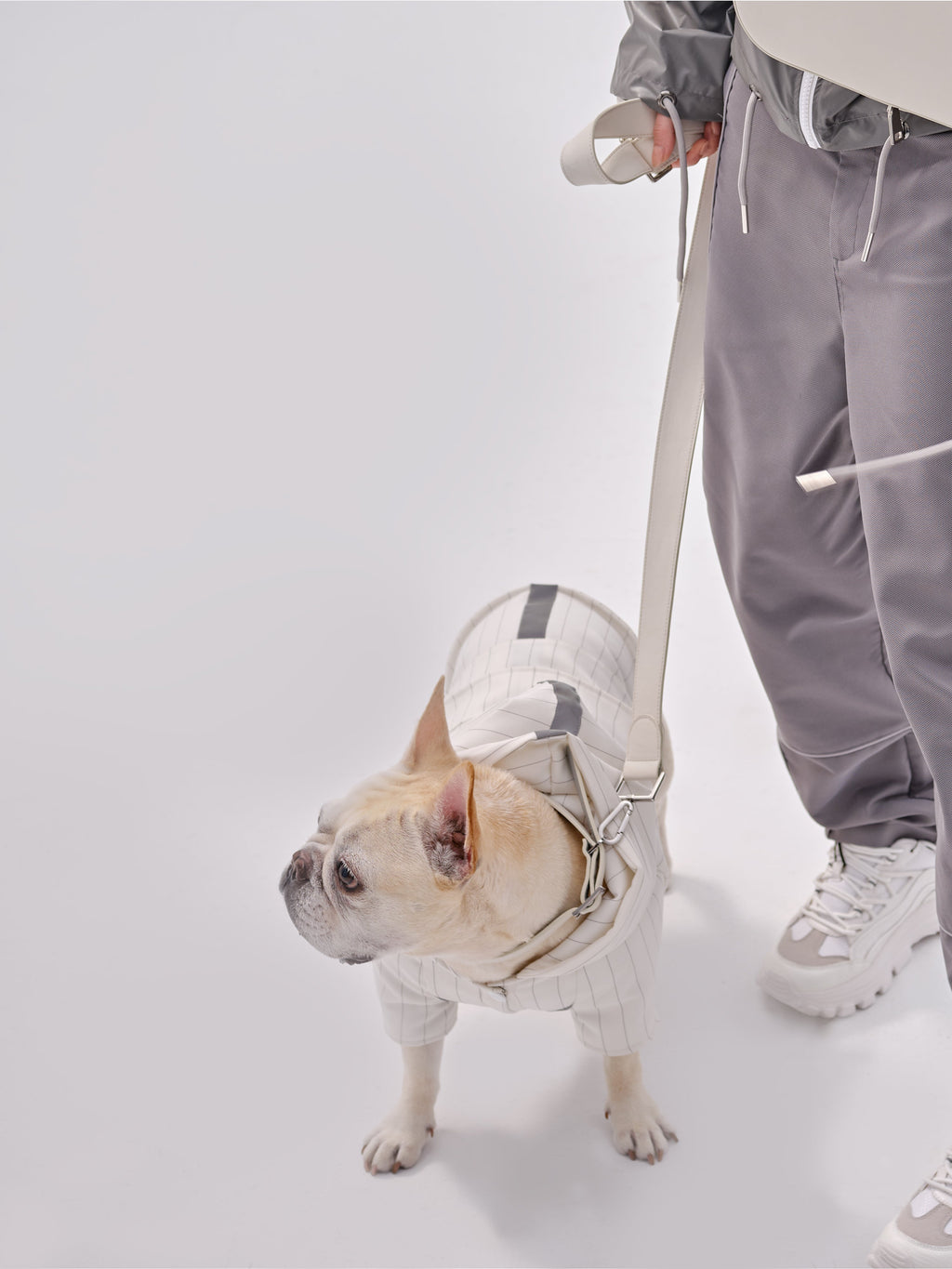 Andersen Calfskin Pet Collar