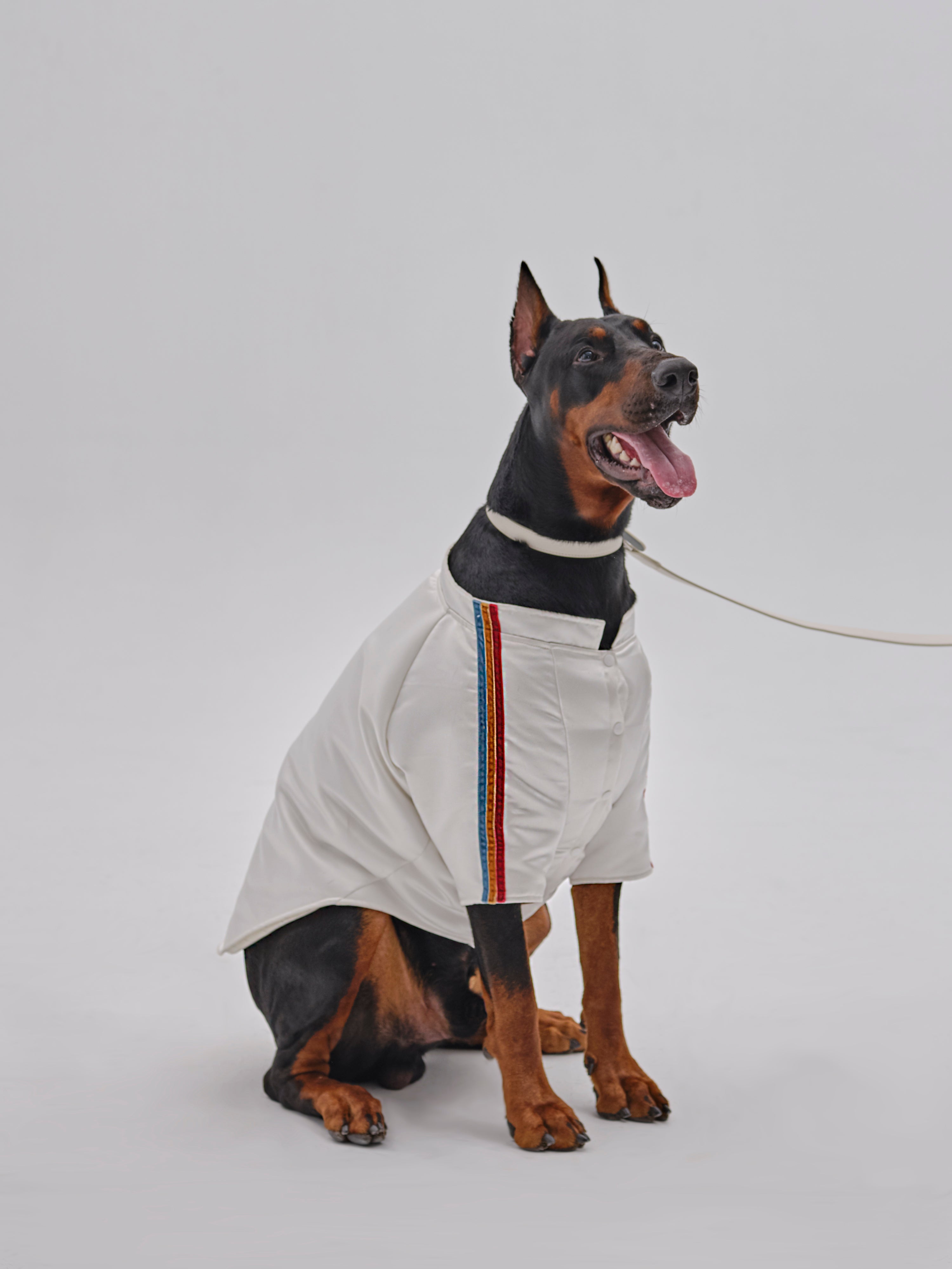 Andersen Calfskin Pet Collar