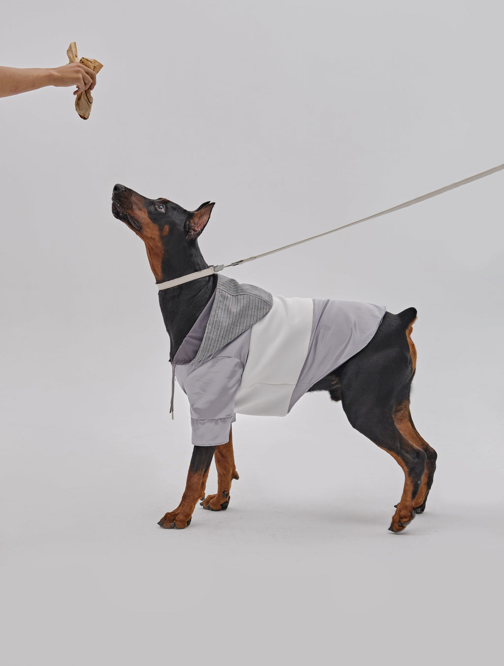 Andersen Calfskin Pet Collar