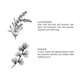 Mini Linen Spray - Lavender + Cedar